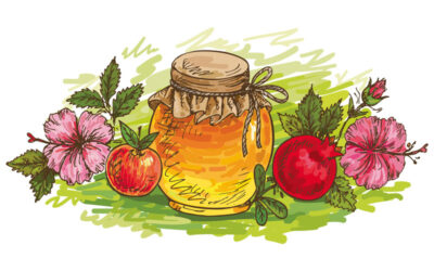 Vorwort des Chefredakteurs